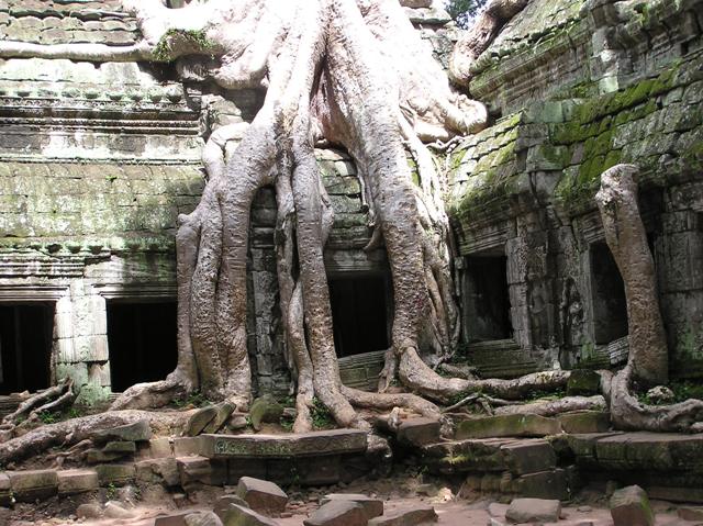 Ta Prohm