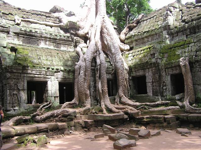 Ta Prohm