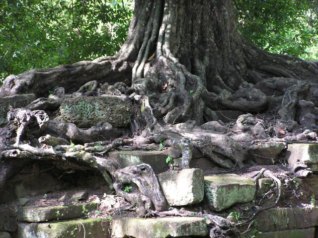 Angkor